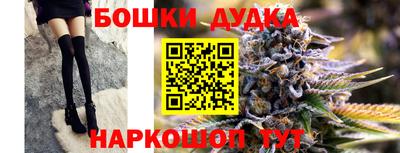 тгк Новодвинск