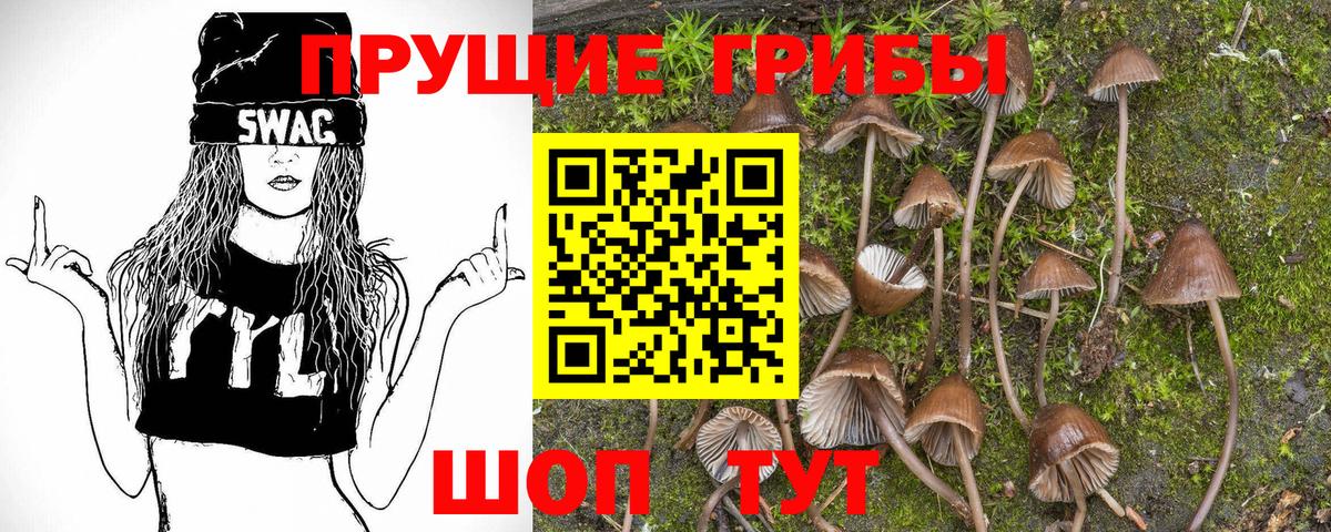 Сергиев Посад  Псилоцибиновые грибы Magic Shrooms  Вход с VPN 